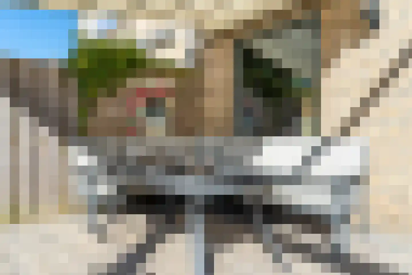 Zonegge 14 25 Zevenaar thumbnail 41