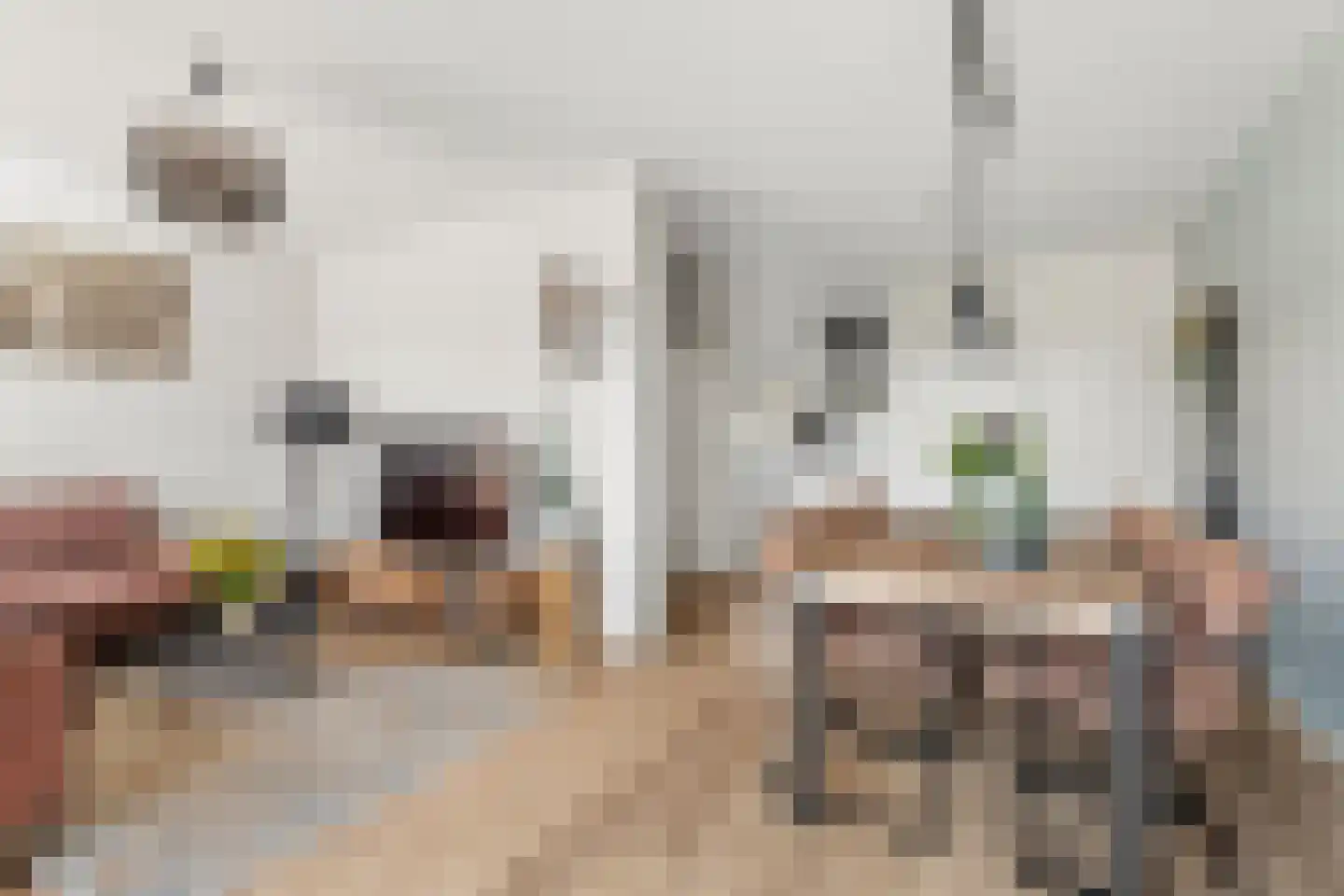 Zonegge 14 25 Zevenaar thumbnail 5