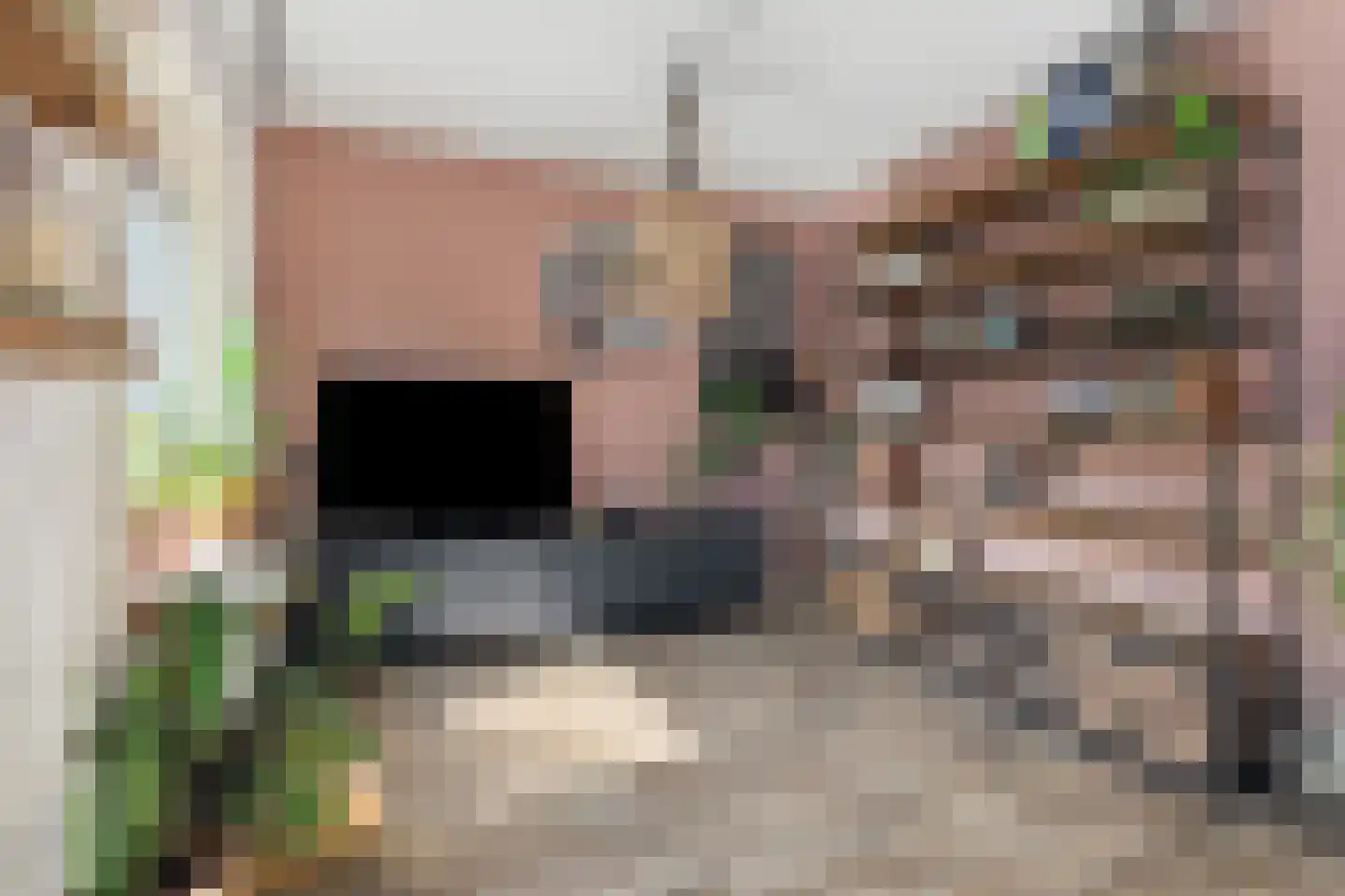 Zonegge 14 7 Zevenaar thumbnail 10