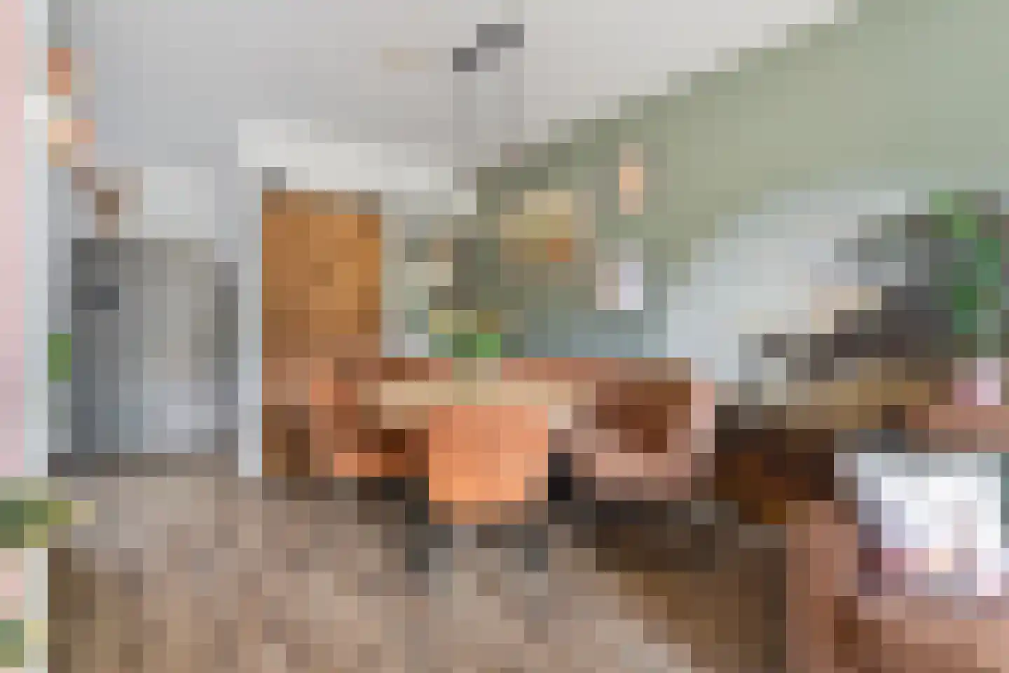 Zonegge 14 7 Zevenaar thumbnail 12