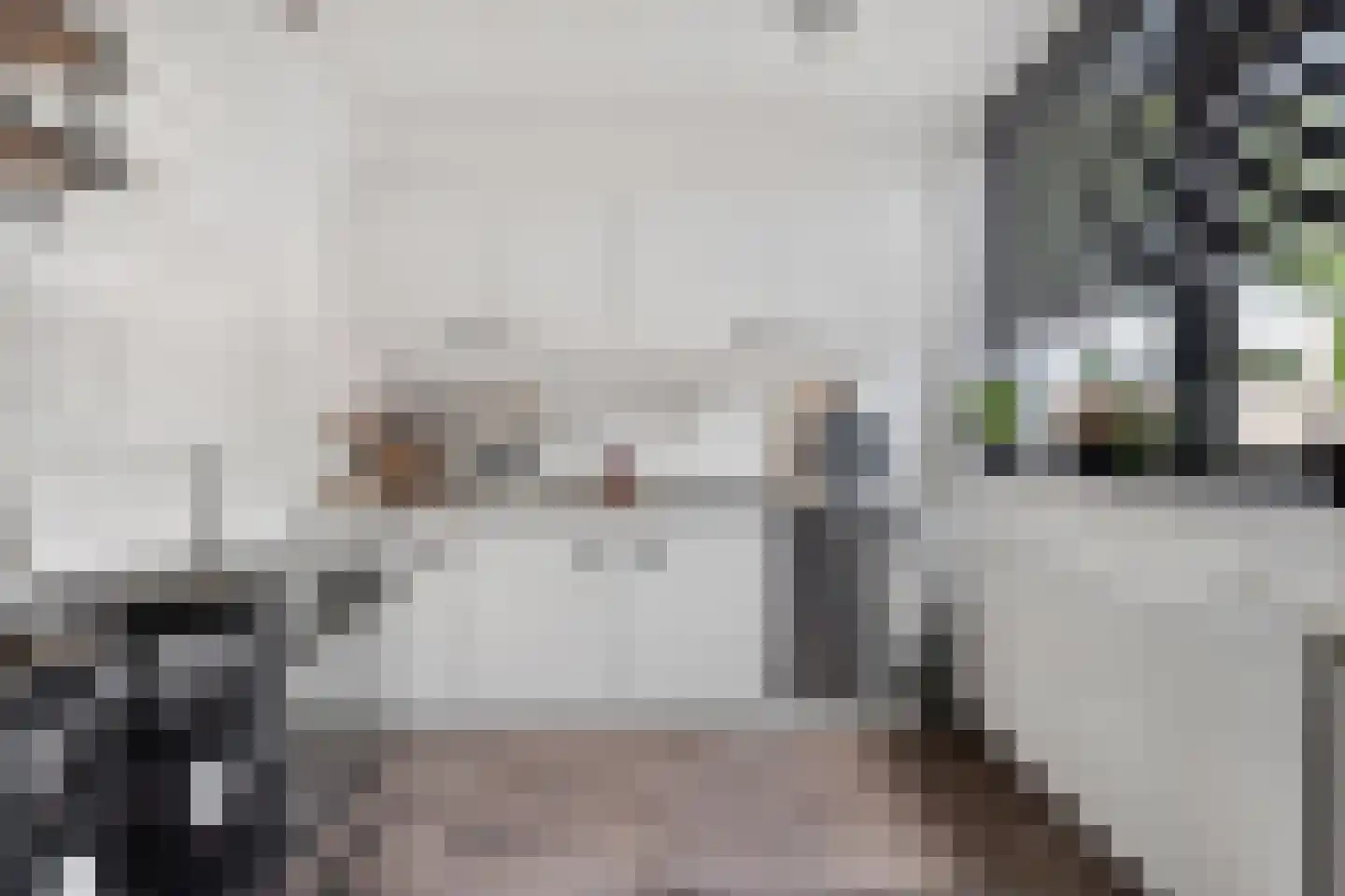 Zonegge 14 7 Zevenaar thumbnail 14