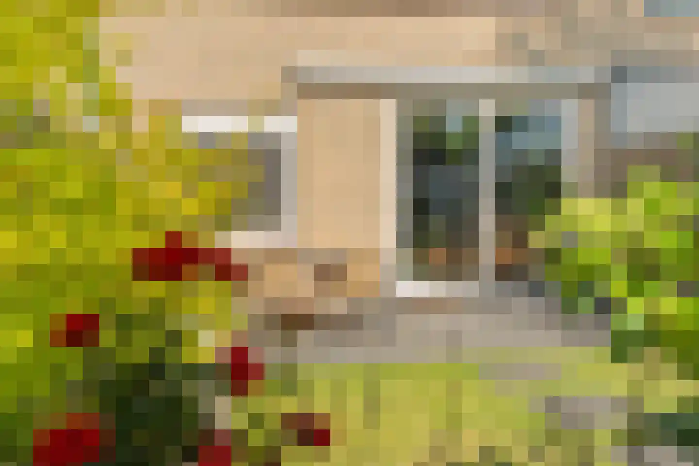 Zonegge 14 7 Zevenaar thumbnail 30