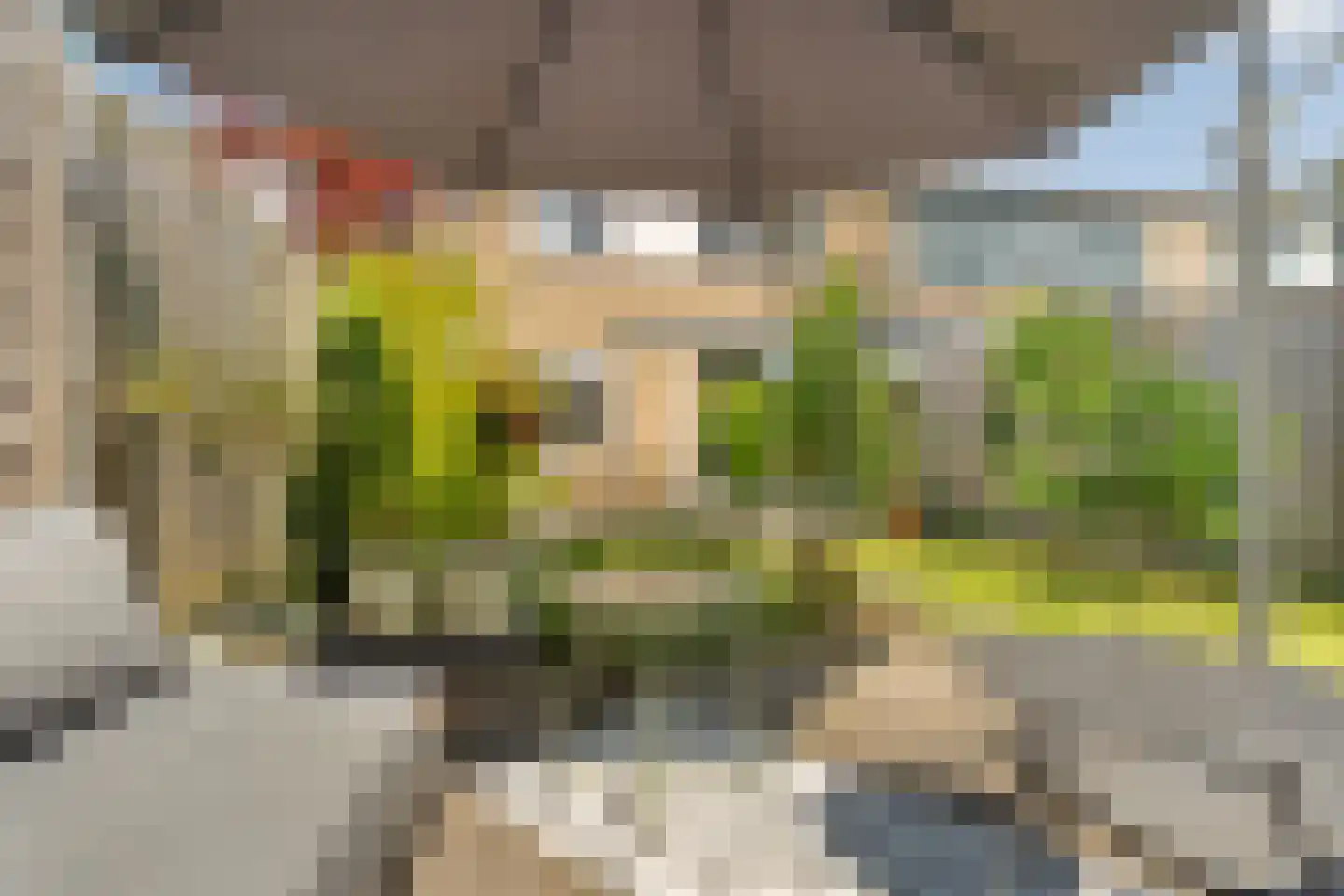 Zonegge 14 7 Zevenaar thumbnail 5