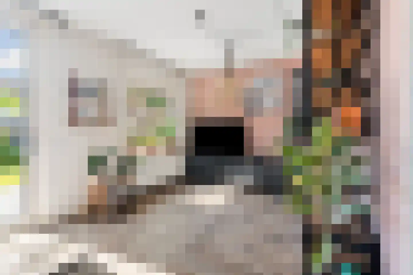 Zonegge 14 7 Zevenaar thumbnail 9