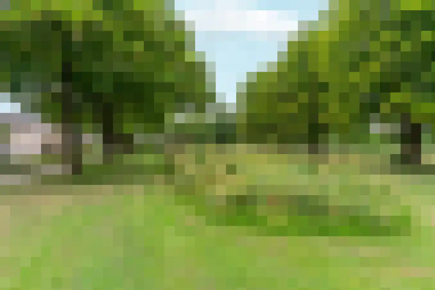 Zonegge 16 18 Zevenaar thumbnail 46