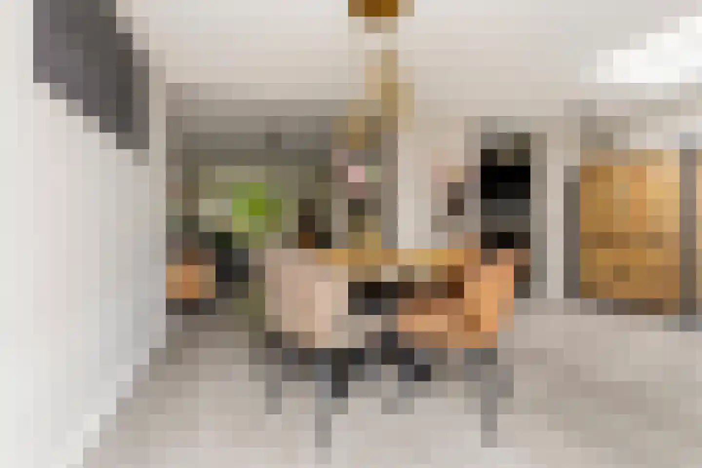 Zonegge 16 18 Zevenaar thumbnail 7