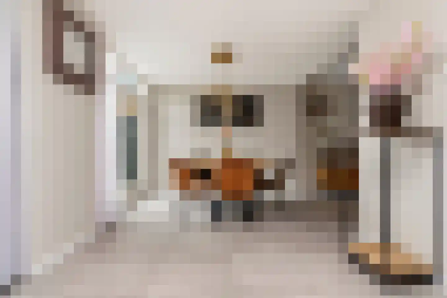 Zonegge 16 18 Zevenaar thumbnail 8