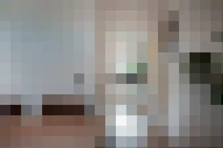 Zonegge 17 17 9 Zevenaar thumbnail 11