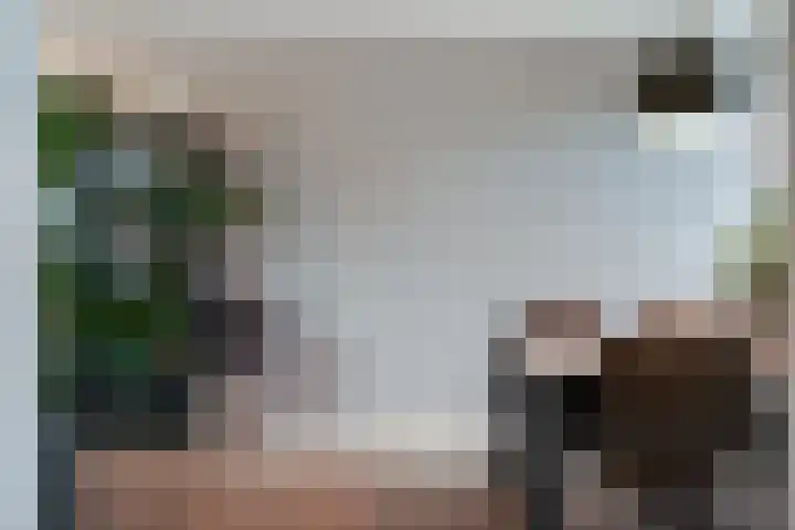Zonegge 17 17 9 Zevenaar thumbnail 17