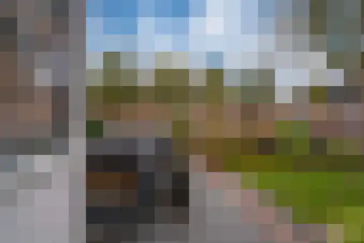 Zonegge 17 17 9 Zevenaar thumbnail 25