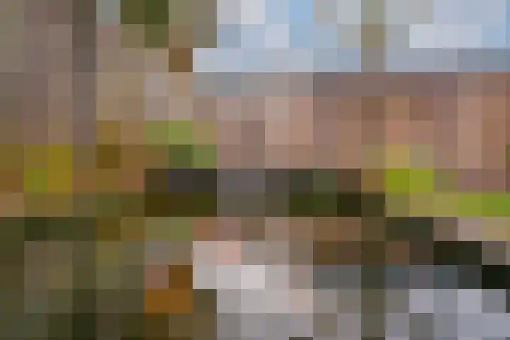 Zonegge 17 17 9 Zevenaar thumbnail 27