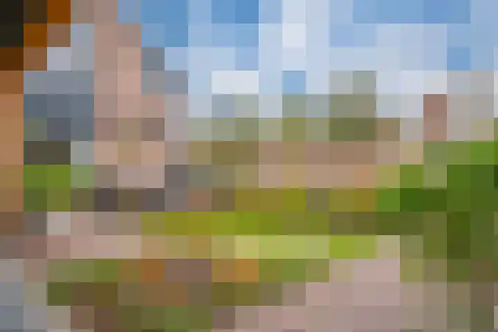 Zonegge 17 17 9 Zevenaar thumbnail 30