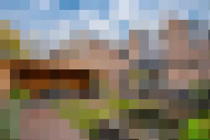 Zonegge 17 17 9 Zevenaar thumbnail 31