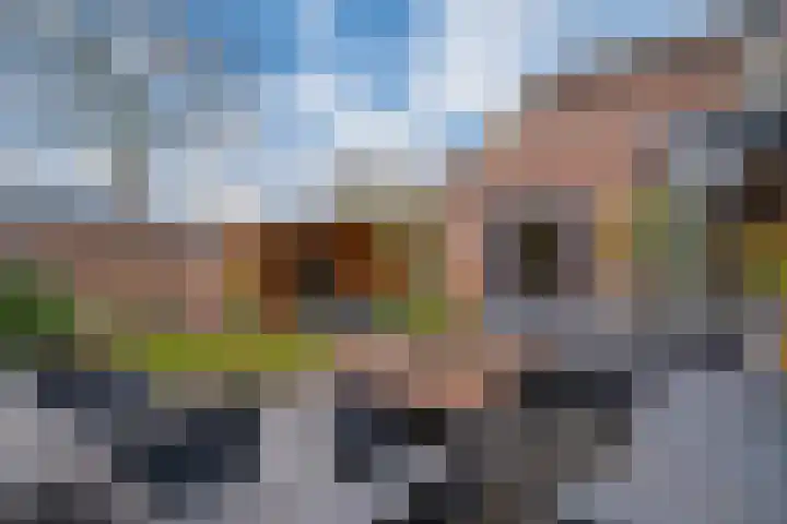 Zonegge 17 17 9 Zevenaar thumbnail 4