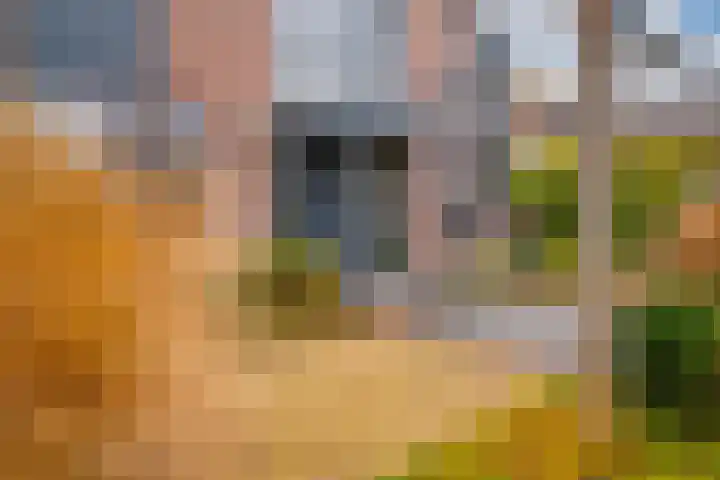 Zonegge 17 17 9 Zevenaar thumbnail 6
