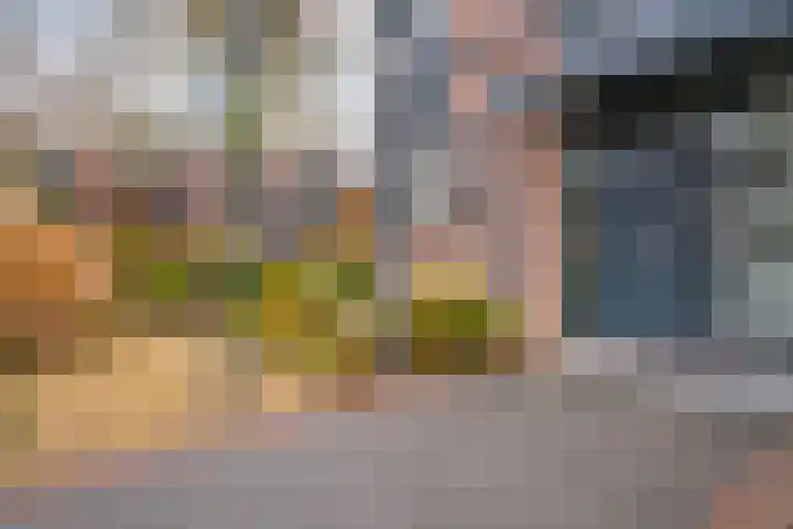 Zonegge 17 17 9 Zevenaar thumbnail 7