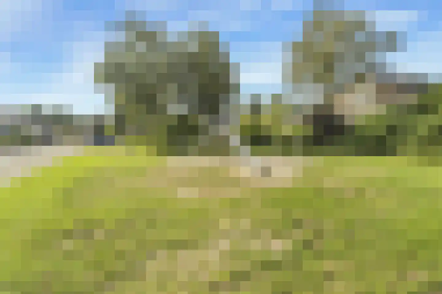Zonegge 17 27 Zevenaar thumbnail 10