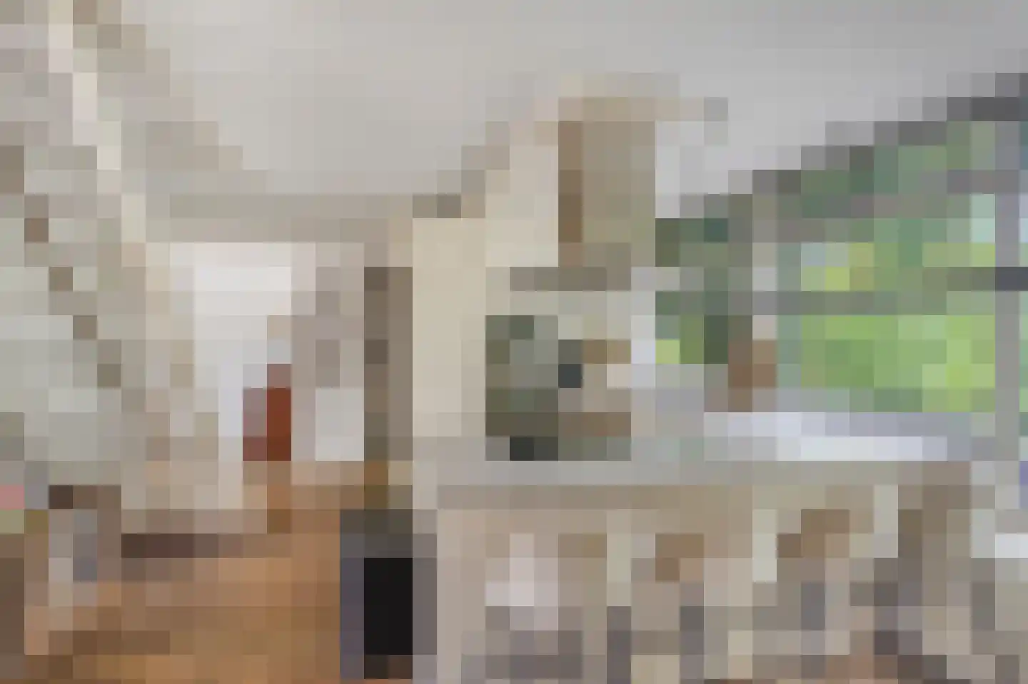 Zonegge 17 27 Zevenaar thumbnail 23