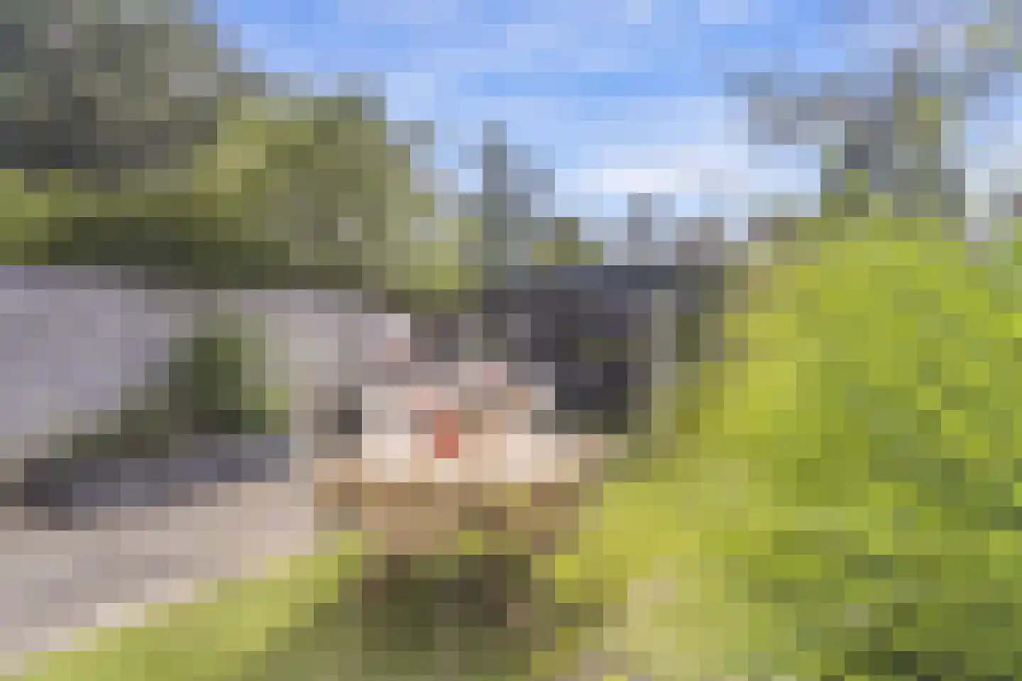 Zonegge 17 27 Zevenaar thumbnail 30