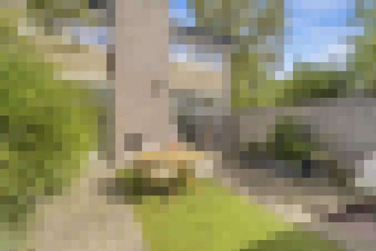 Zonegge 17 27 Zevenaar thumbnail 31