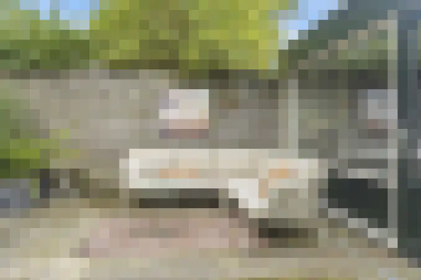 Zonegge 17 27 Zevenaar thumbnail 33