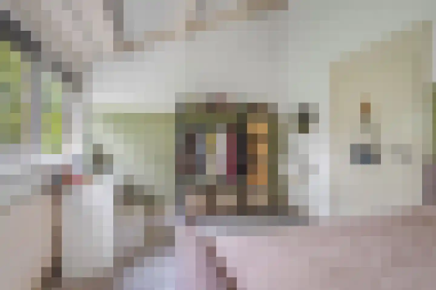 Zonegge 17 27 Zevenaar thumbnail 43
