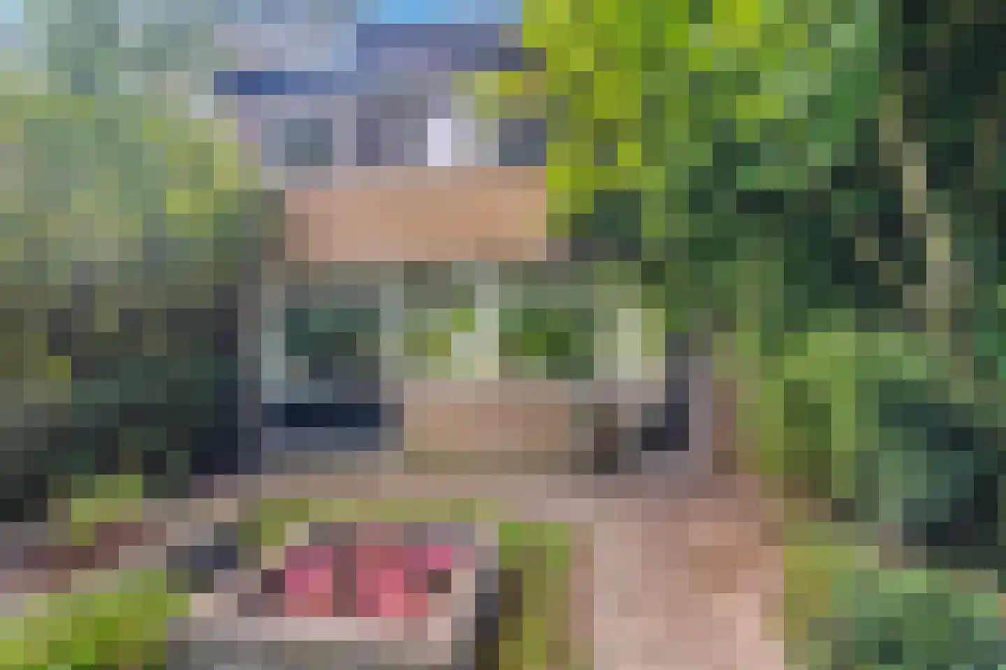 Zonegge 17 27 Zevenaar thumbnail 7