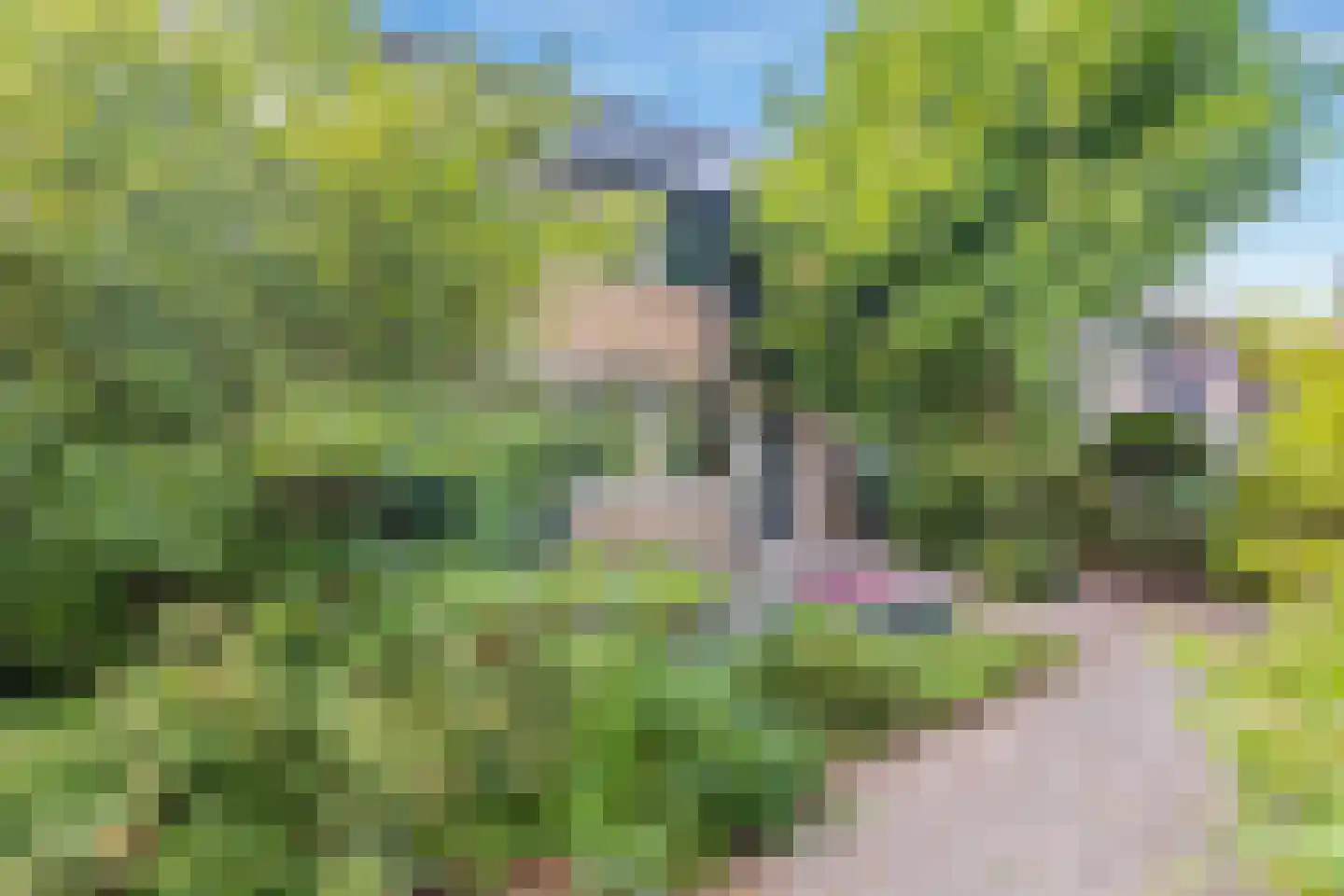 Zonegge 17 27 Zevenaar thumbnail 8