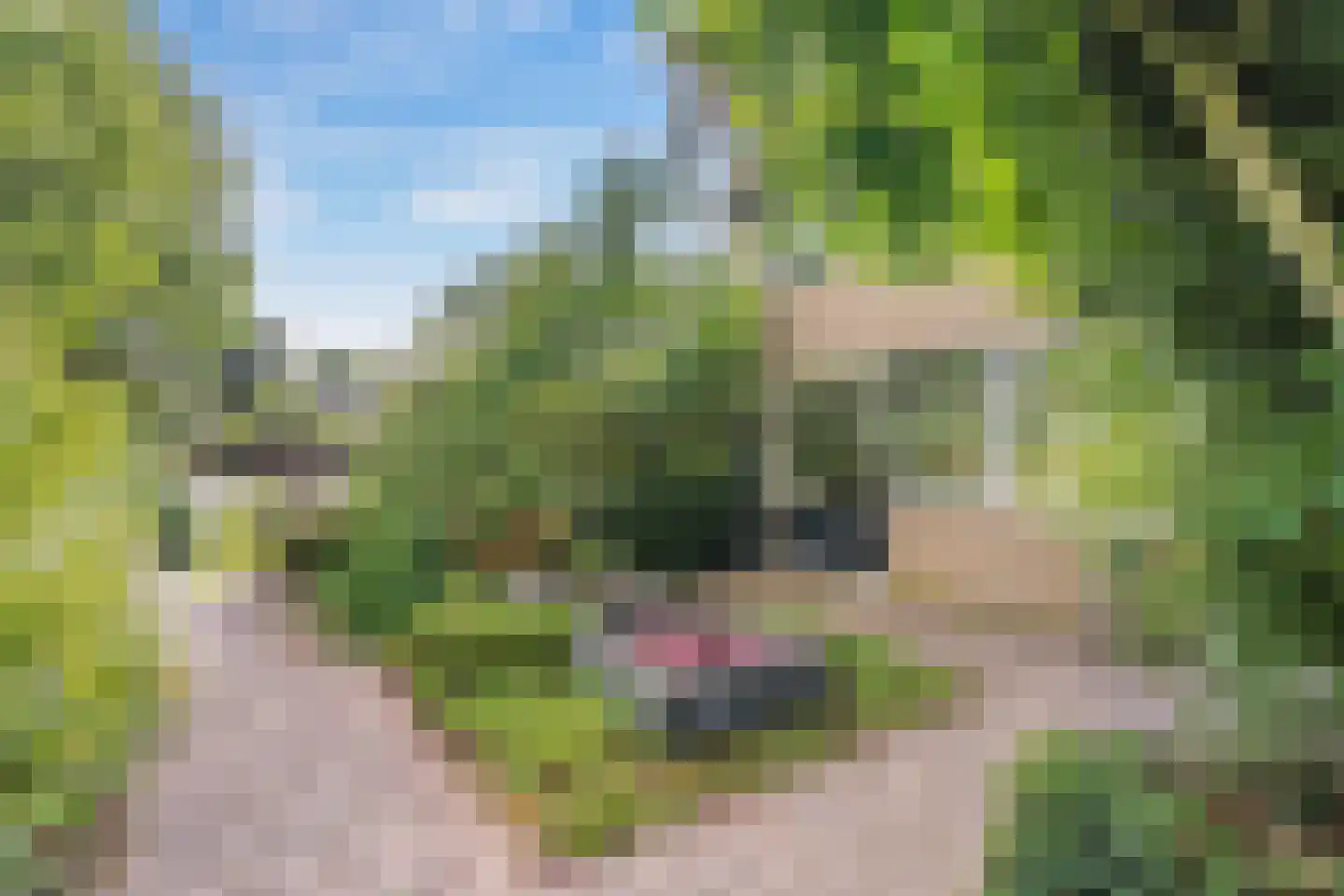 Zonegge 17 27 Zevenaar thumbnail 9