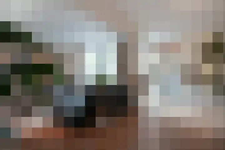 Zonegge 17 9 Zevenaar thumbnail 10
