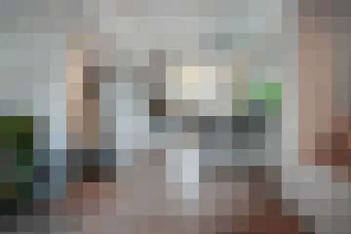 Zonegge 17 9 Zevenaar thumbnail 21