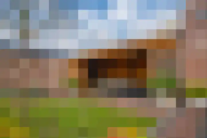 Zonegge 17 9 Zevenaar thumbnail 28