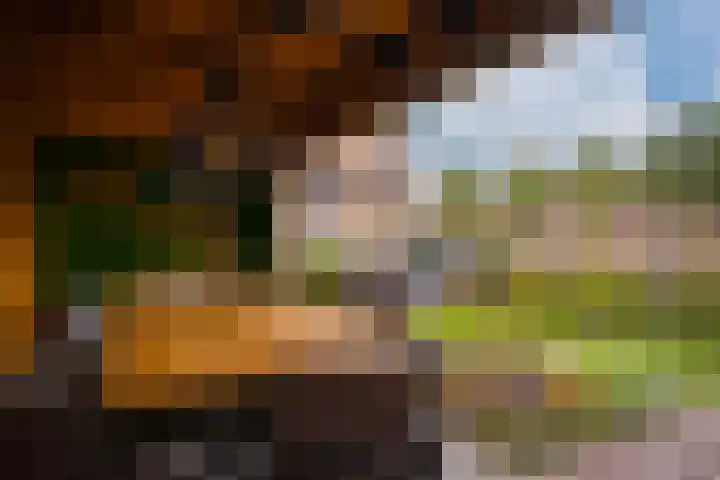 Zonegge 17 9 Zevenaar thumbnail 29