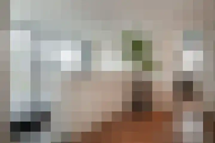 Zonegge 17 9 Zevenaar thumbnail 33