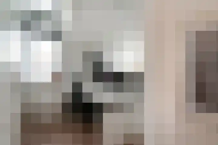 Zonegge 17 9 Zevenaar thumbnail 36