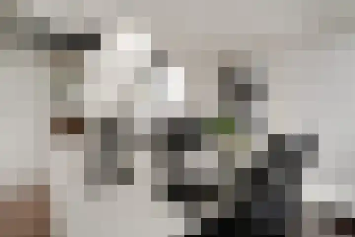 Zonegge 17 9 Zevenaar thumbnail 37