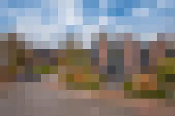 Zonegge 17 9 Zevenaar thumbnail 50