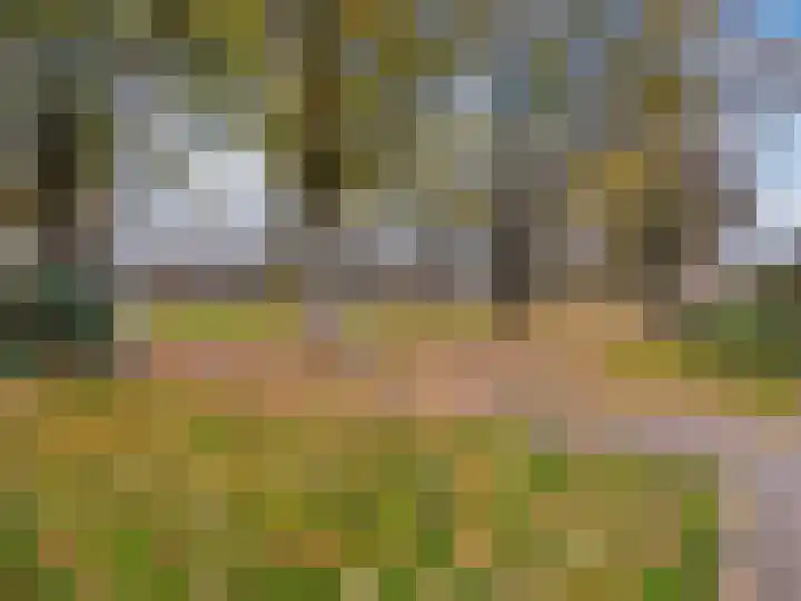 Zonegge 17 9 Zevenaar thumbnail 53