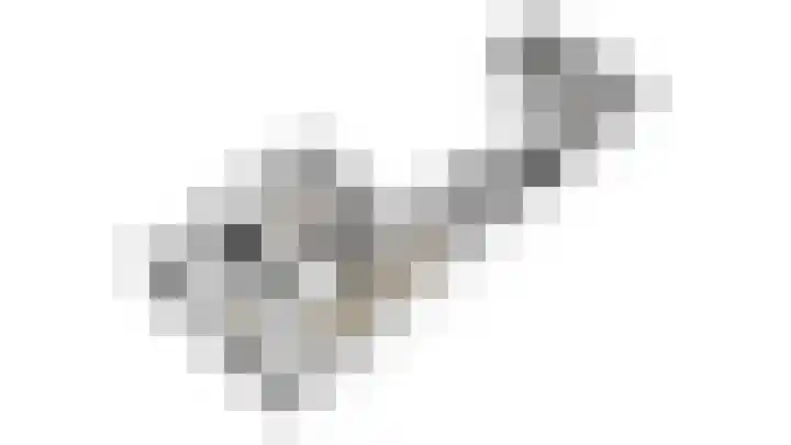 Zonegge 17 9 Zevenaar thumbnail 55