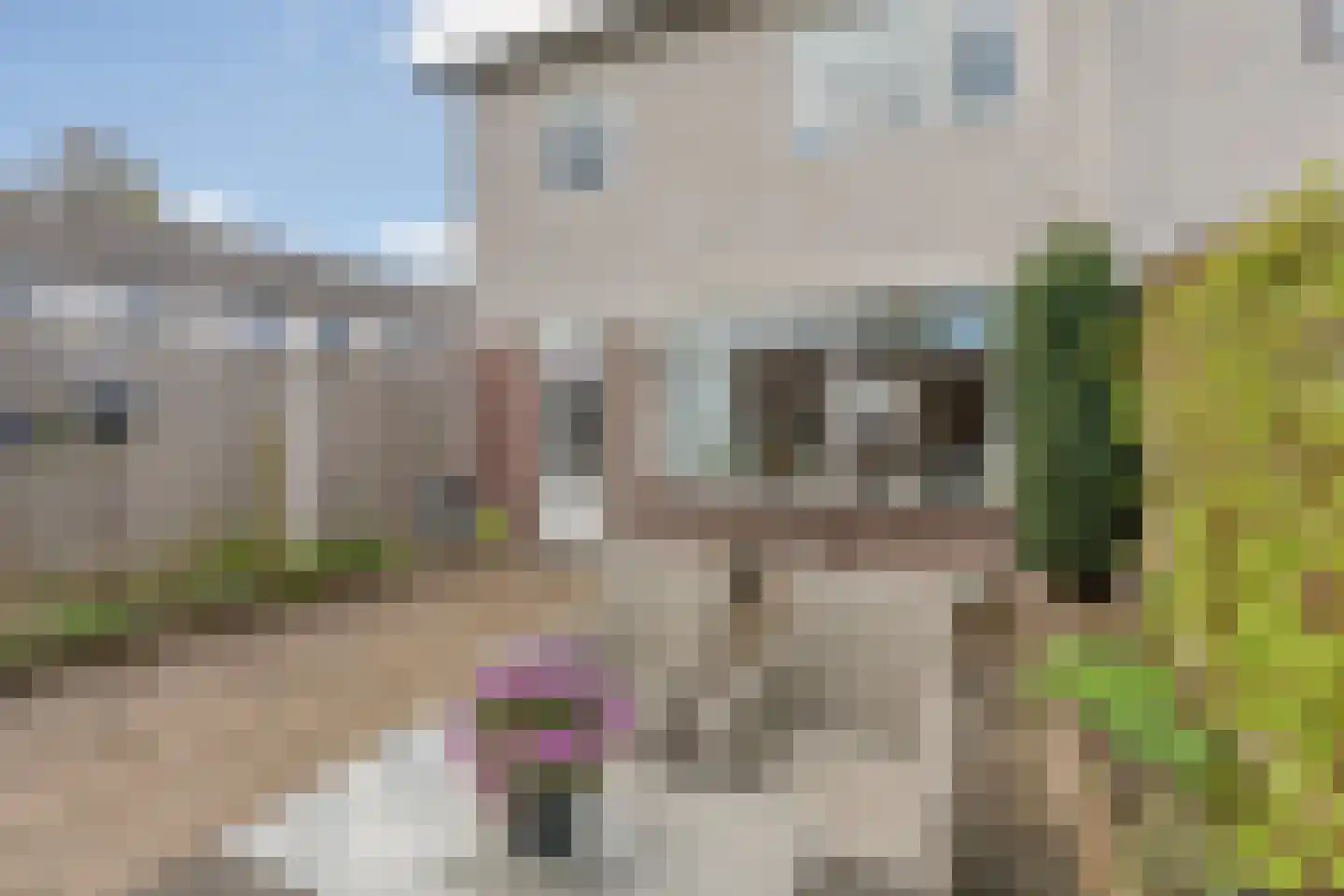 Zonegge 18 18 6 Zevenaar thumbnail 37