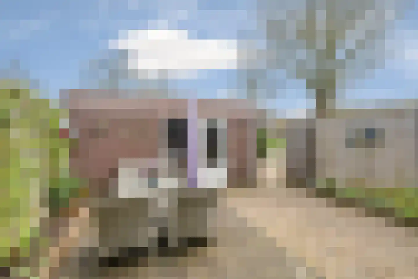 Zonegge 18 18 6 Zevenaar thumbnail 39