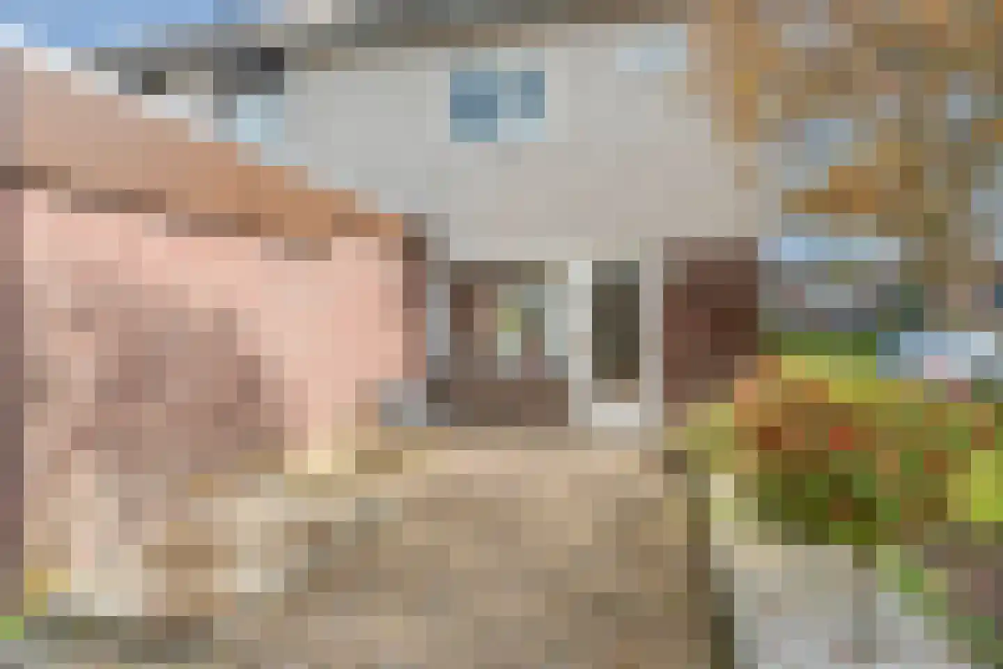 Zonegge 18 18 6 Zevenaar thumbnail 46