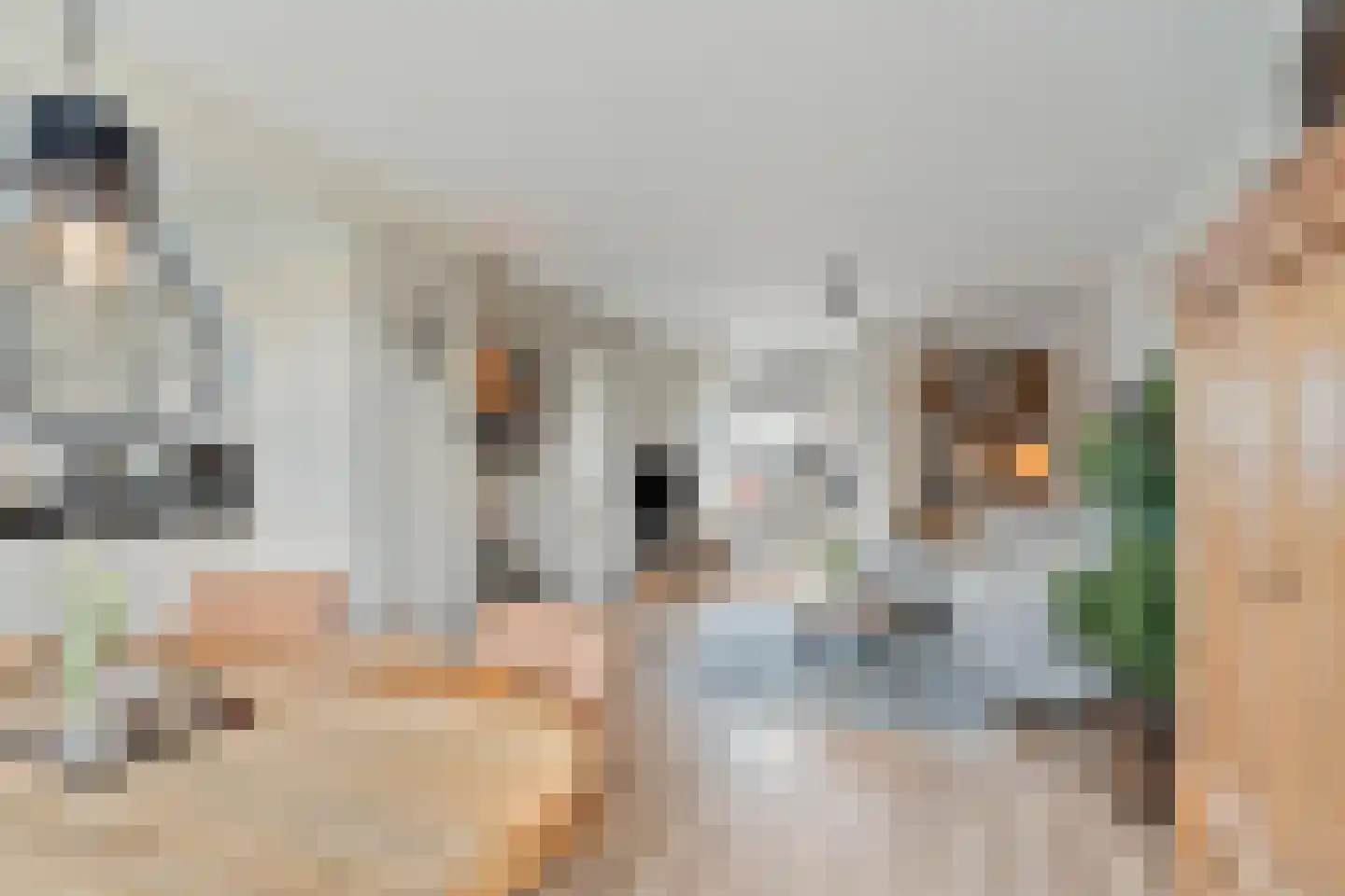 Zonegge 18 18 6 Zevenaar thumbnail 9