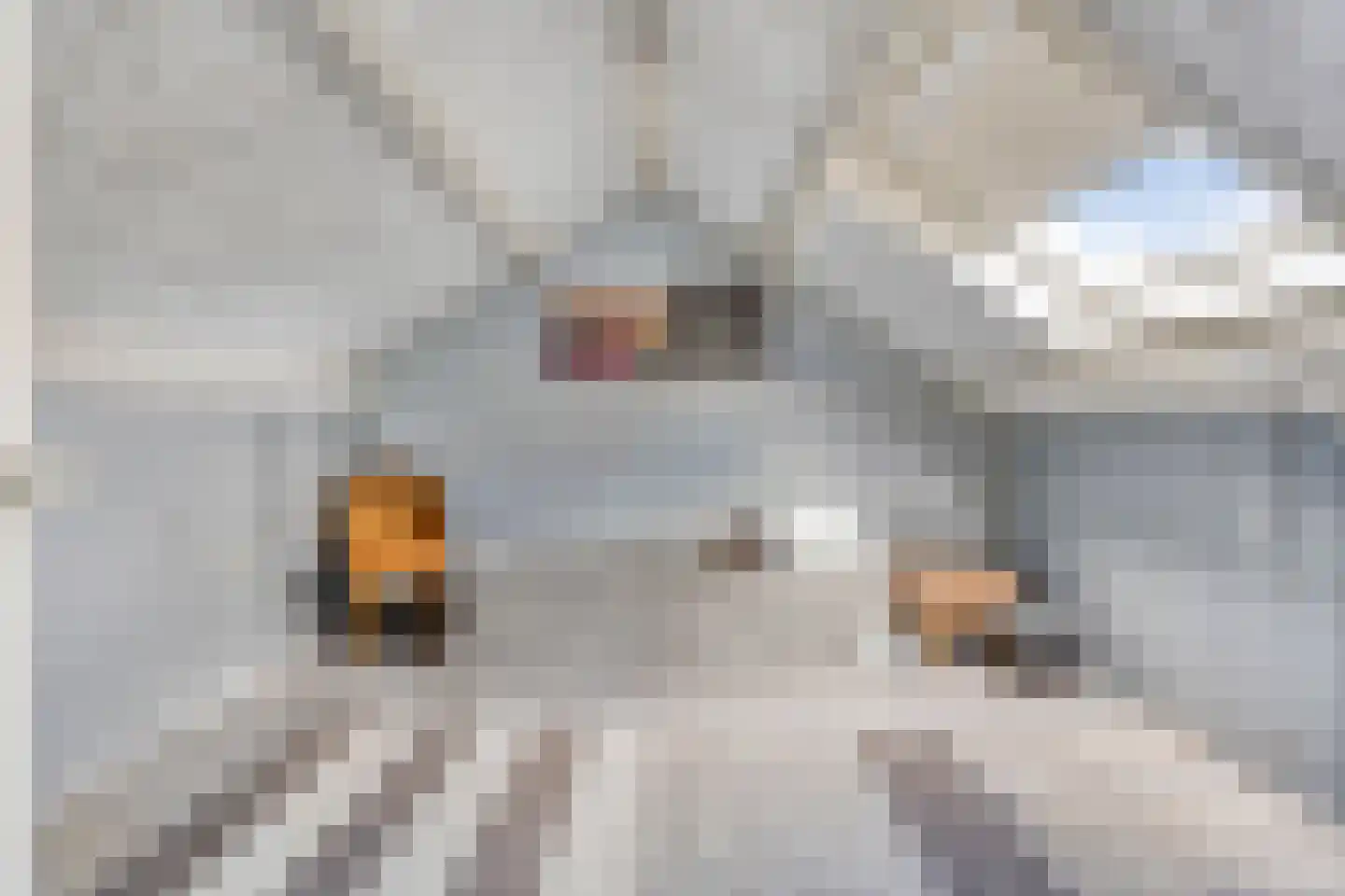 Zonegge 18 6 Zevenaar thumbnail 33