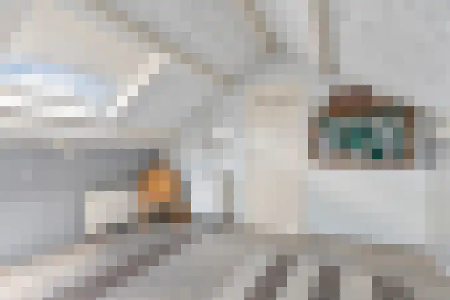 Zonegge 18 6 Zevenaar thumbnail 34