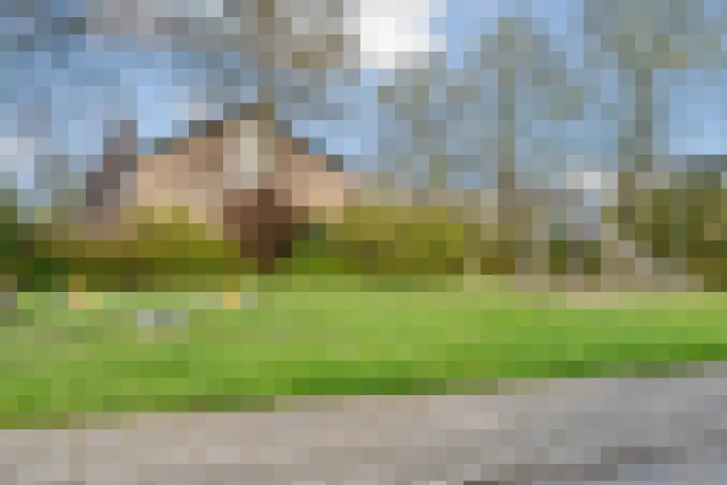 Zonegge 18 6 Zevenaar thumbnail 50