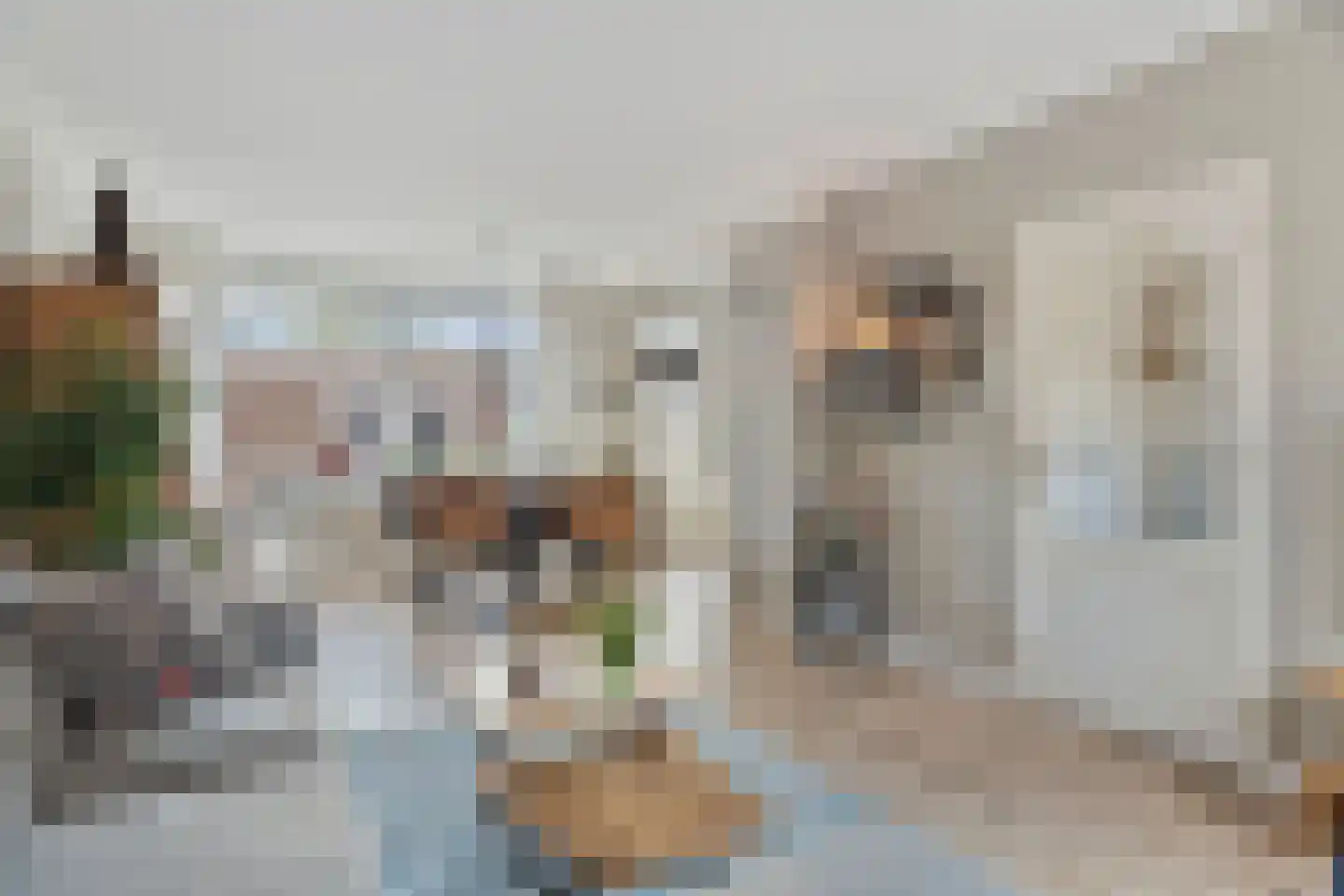 Zonegge 18 6 Zevenaar thumbnail 8