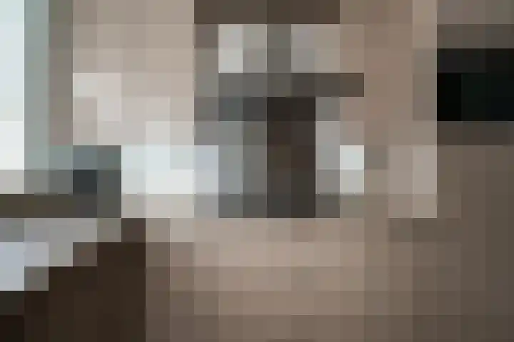 Zonegge 19 7 Zevenaar thumbnail 20