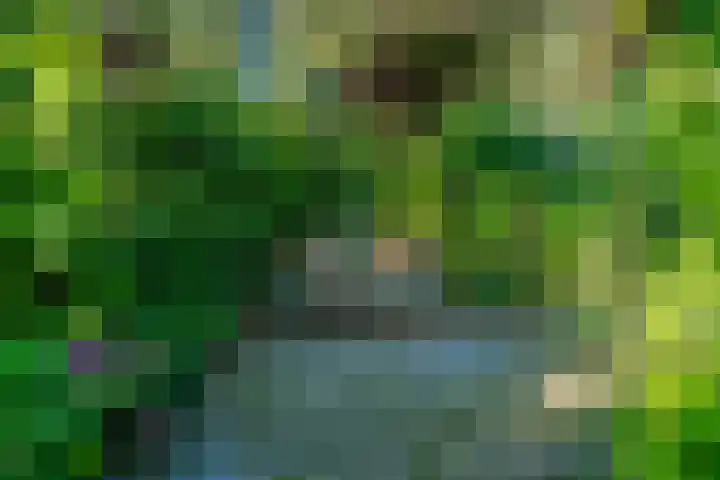 Zonegge 19 7 Zevenaar thumbnail 24