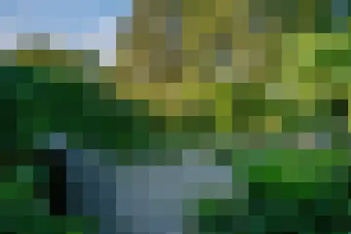 Zonegge 19 7 Zevenaar thumbnail 25